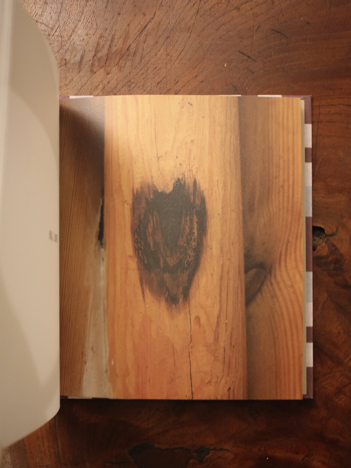 [ART BOOK} SPOT By Anna Lauren Lee